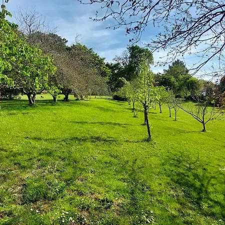 Precioso Chalet En El Campo Con 9.000 Metros De Jardin Ferienhaus *