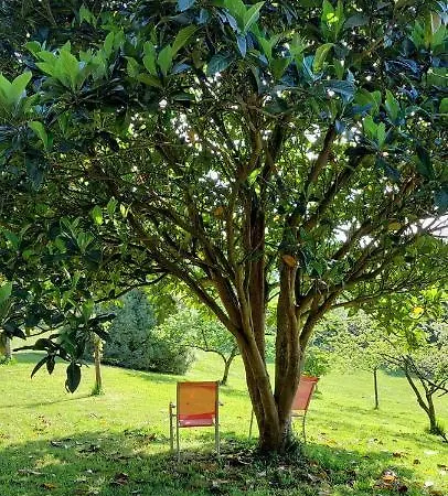 Precioso Chalet En El Campo Con 9.000 Metros De Jardin * A Coruña