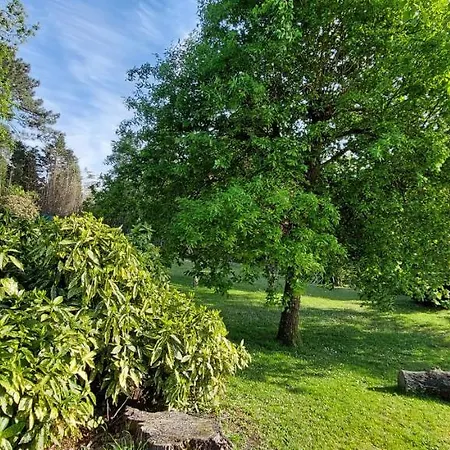 Precioso Chalet En El Campo Con 9.000 Metros De Jardin