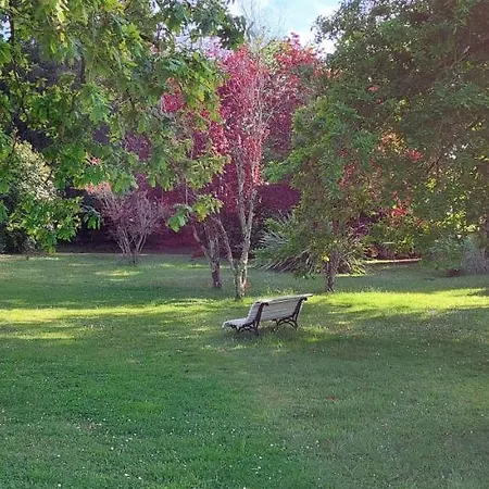 Precioso Chalet En El Campo Con 9.000 Metros De Jardin *