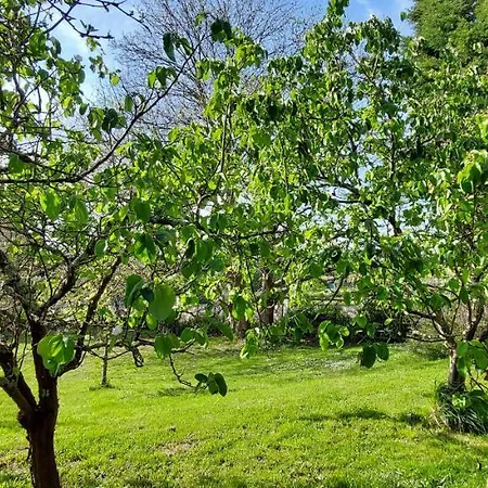 Precioso Chalet En El Campo Con 9.000 Metros De Jardin *
