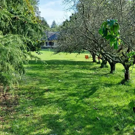 Ferienhaus Precioso Chalet En El Campo Con 9.000 Metros De Jardin
